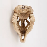 Colgante de Pared de Cabeza/Cráneo de Dinosaurio Fósil Estilo Retro